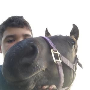 Meet your Posher, Adrian